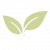cropped-Falicon-floribis.png